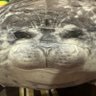 Profilbild von Blobking77