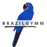Brazilgymm profil fotoğrafı