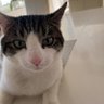 Thomas C's profile picture