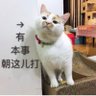 帅᳐帅的躺零᳐ ੭ profil fotoğrafı