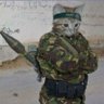 Alz Ser's profile picture