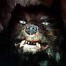 Lyris's profile picture