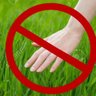 nevertouchedgrass 的头像