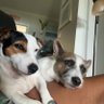Ginnyma27's profile picture