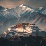 福星高照 profil fotoğrafı