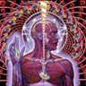 Фото профиля Radd369