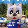 Profilbild von かいとぶー🐷🌟🐝