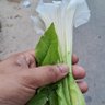 sUmiTkR profil fotoğrafı