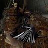 LusieFairy's profile picture