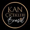 Kan Çiçekleri BR's profile picture