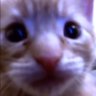 Profilbild von kripton-