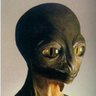 kenneth walsh's profile picture