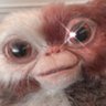 アベケン's profile picture
