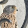 RIATTO profil fotoğrafı