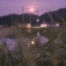 Profilbild von ぴーまん