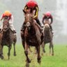 Profilbild von many horse