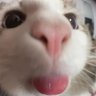 Profilbild von Sarah