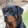 Profilbild von David
