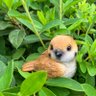 歌好きスズメ♫ 的头像