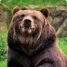 Profilbild von Serge R