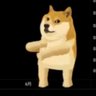 むぎむぎ@'s profile picture