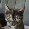 ~ Mai ~ profil fotoğrafı