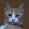 Profilbild von Meire Santos
