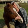 Beth Clapper's profile picture