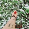 Aninha Martins's profile picture