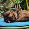 Marlene profil fotoğrafı