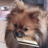 Profilbild von JIM'S