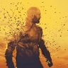 The Beekeeper 🐝's profile picture