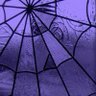 ARACNOFOBIX🕷️🚲's profile picture