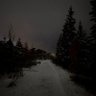 Фото профиля TremblingTurtle