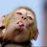 Vinhaflamenguista♥️🖤's profile picture