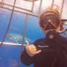 Alyssa Sharkpelli Tippman 🦈's profile picture
