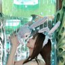 ふくまる💜 profil fotoğrafı