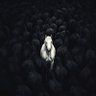 Фото профиля Mo Farash
