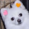 ヒロ-♪ 的头像