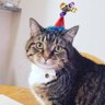 Profilbild von riffraff