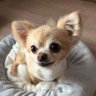 yumi's profile picture