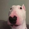 batata 的头像