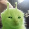 Profilbild von MEMORY