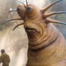 Profilbild von sassy_slug