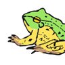 Profilbild von ぬ