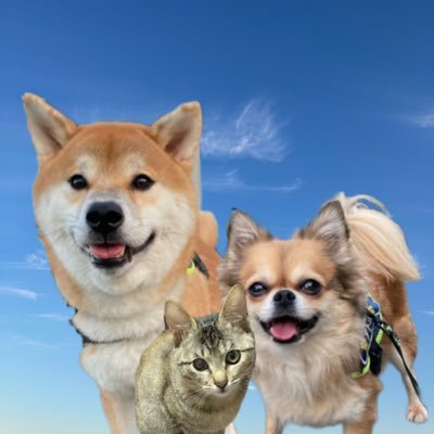 NonKi94907314's profile picture