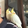 Фото профиля 云わずもがな(最上修)