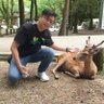 koala 的头像