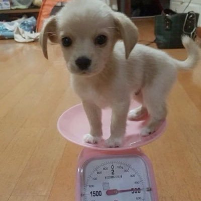ddaebaby's profile picture