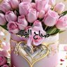 abo Yousef profil fotoğrafı
